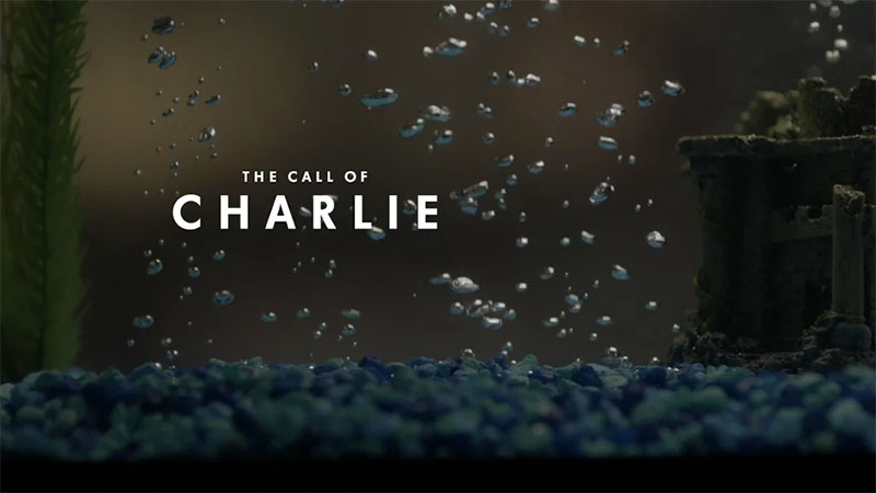 The Call of Charlie